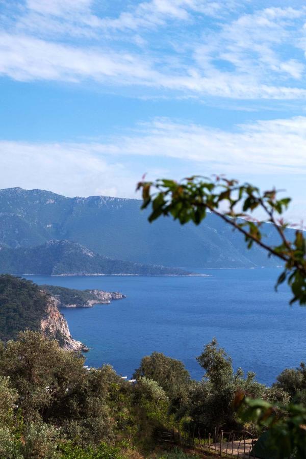 Deep Ocean Camping-Adults Only Faralya Exterior foto
