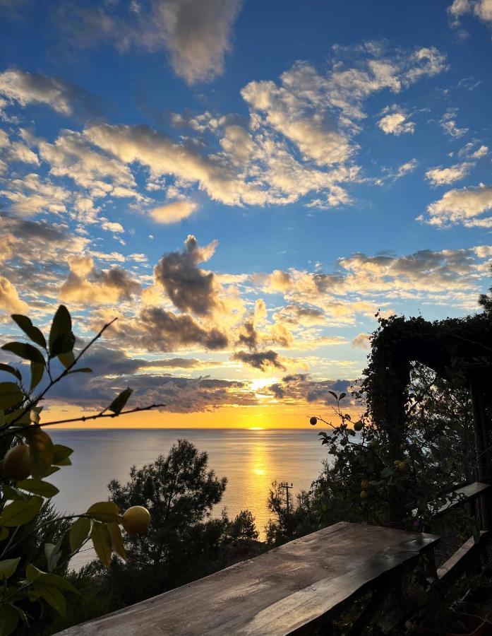 Deep Ocean Camping-Adults Only Faralya Exterior foto